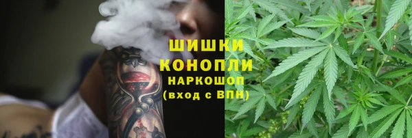 прущий лед Вязьма