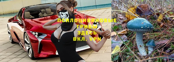 амф Горнозаводск