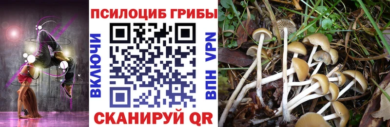 Галлюциногенные грибы Magic Shrooms Зима