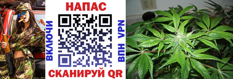 Бошки Шишки VHQ  Зима 